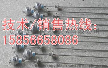 移動式插深鎧裝熱電阻WZPK-433□WZPK-434安徽銅城儀表城